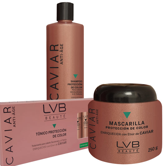 KIT PROTECCIÓN DE COLOR (SH+MASC+TONICO) PARA CABELLO DECOLORADO Y/O TEÑIDO